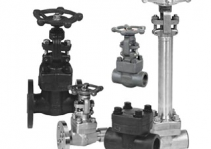 Differences between Forging and Casting Valves