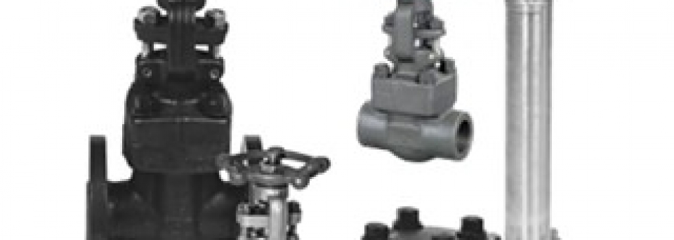 Differences between Forging and Casting Valves
